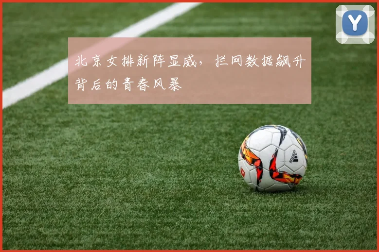 北京女排新阵显威，拦网数据飙升背后的青春风暴