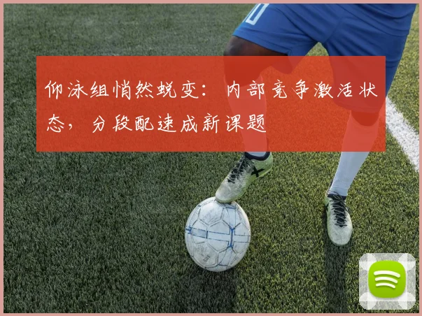 仰泳组悄然蜕变：内部竞争激活状态，分段配速成新课题