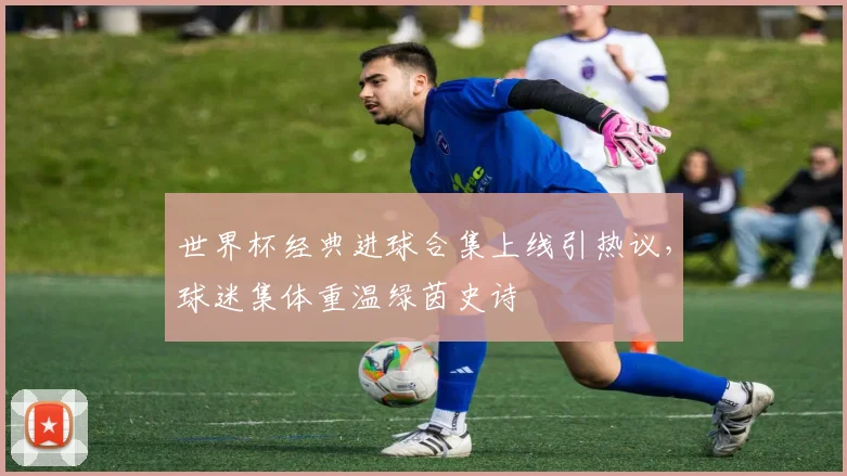 世界杯经典进球合集上线引热议，球迷集体重温绿茵史诗