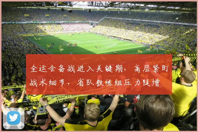 全运会备战进入关键期，高层紧盯战术细节，省队教练组压力陡增