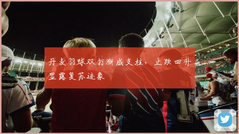 丹麦羽球双打渐成支柱，止跌回升显露复苏迹象
