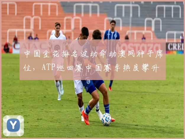 中国金花排名波动牵动澳网种子席位，ATP巡回赛中国赛季热度攀升